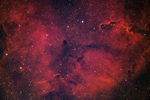 Elephant's Trunk Nebula